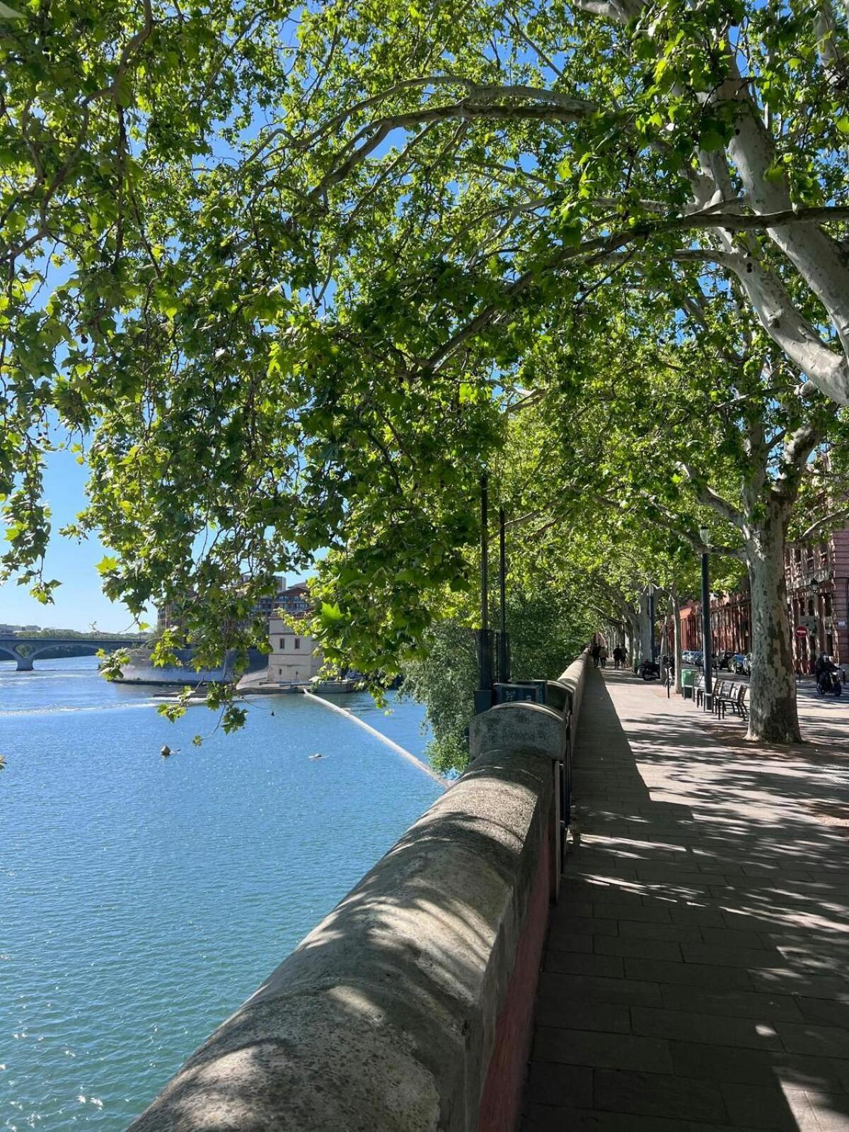 Appartamento Le Saphir Tolosa Esterno foto